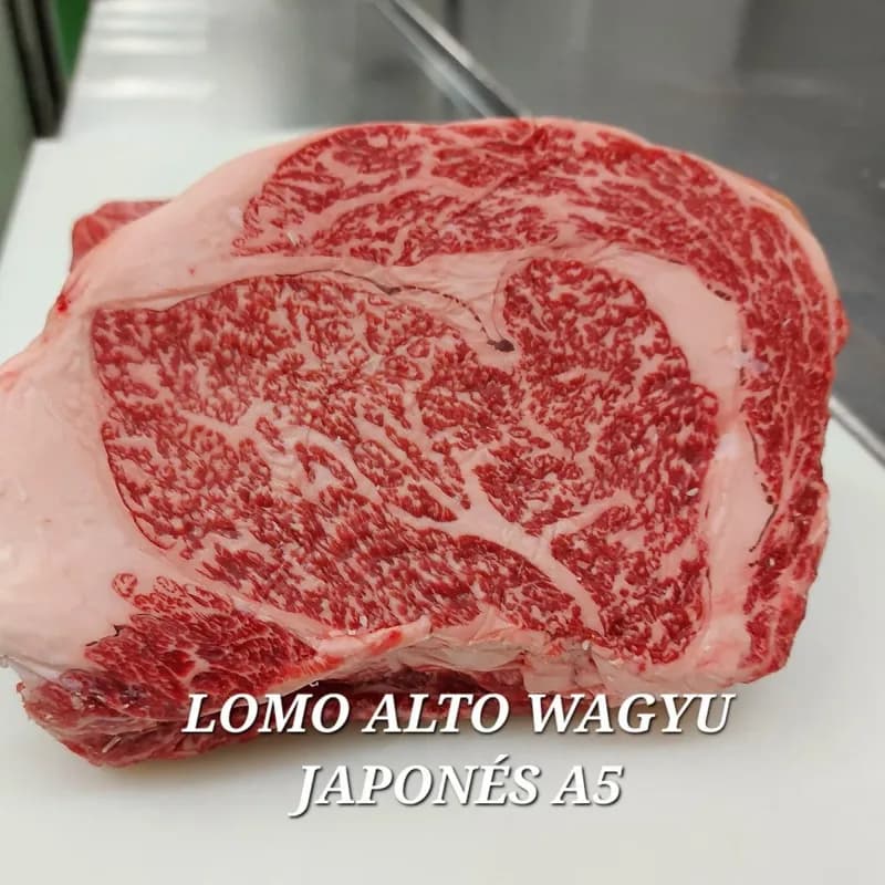 Lomo Alto A5 (BMS 8-11)