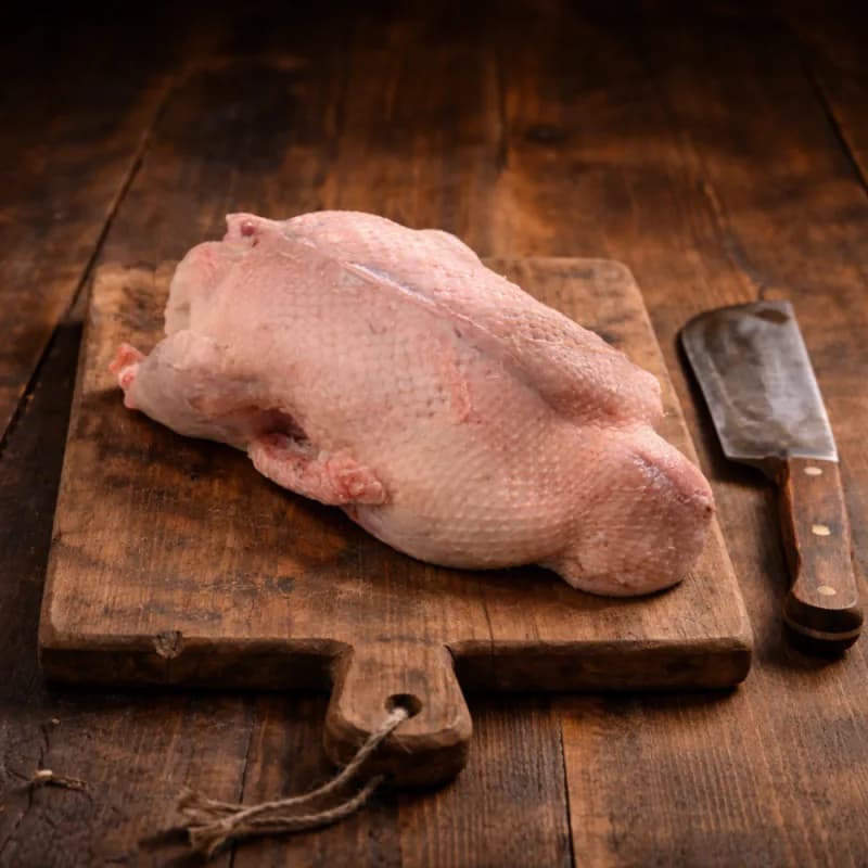 Pato Azulón s/pluma