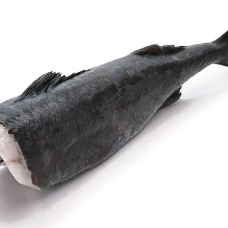 Black Cod - (Bacalao Negro)