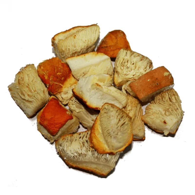Amanita Cubos