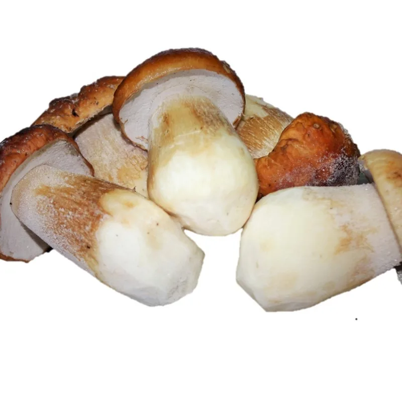 Boletus 3 a 5 cm