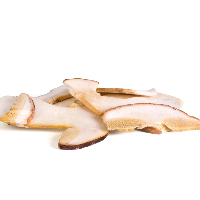 Boletus Laminado