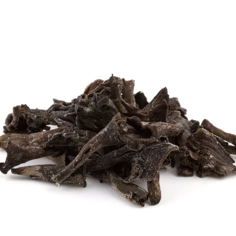 Trompeta Negra