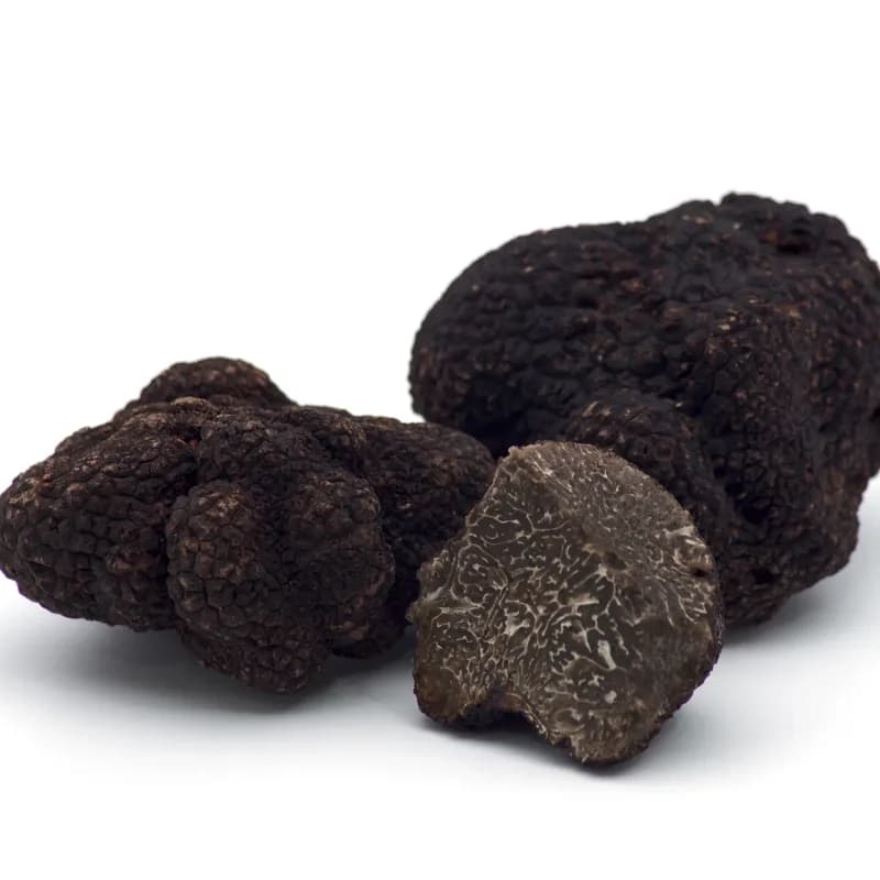 Trufa de Invierno Melanosporum
