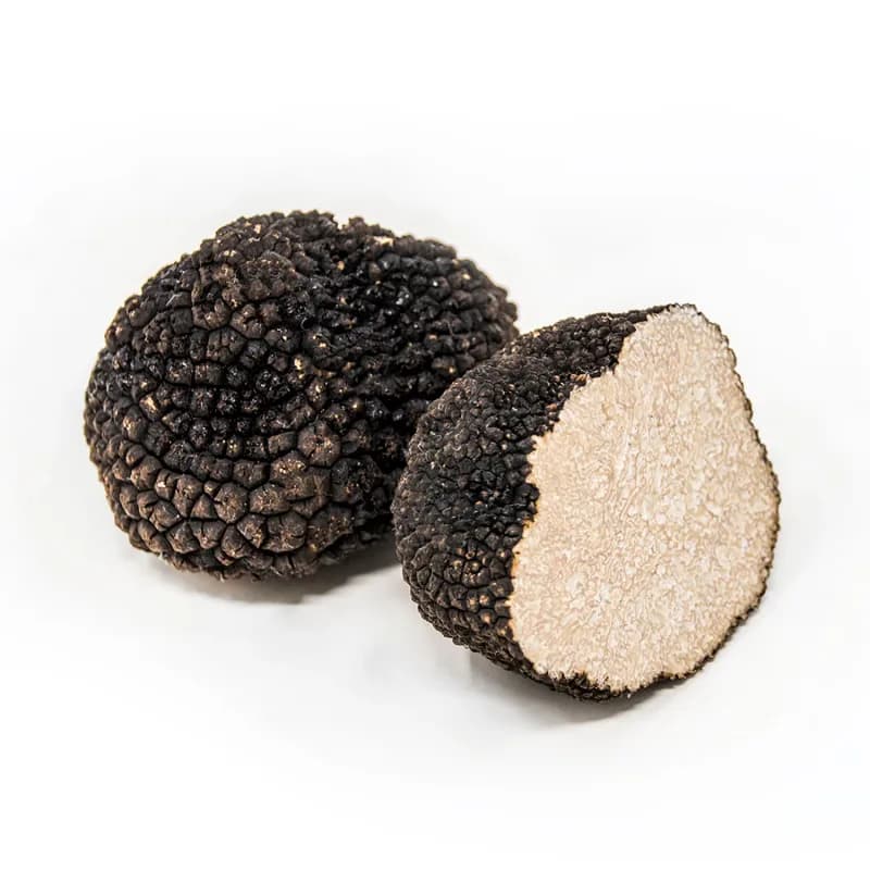 Trufa de Verano